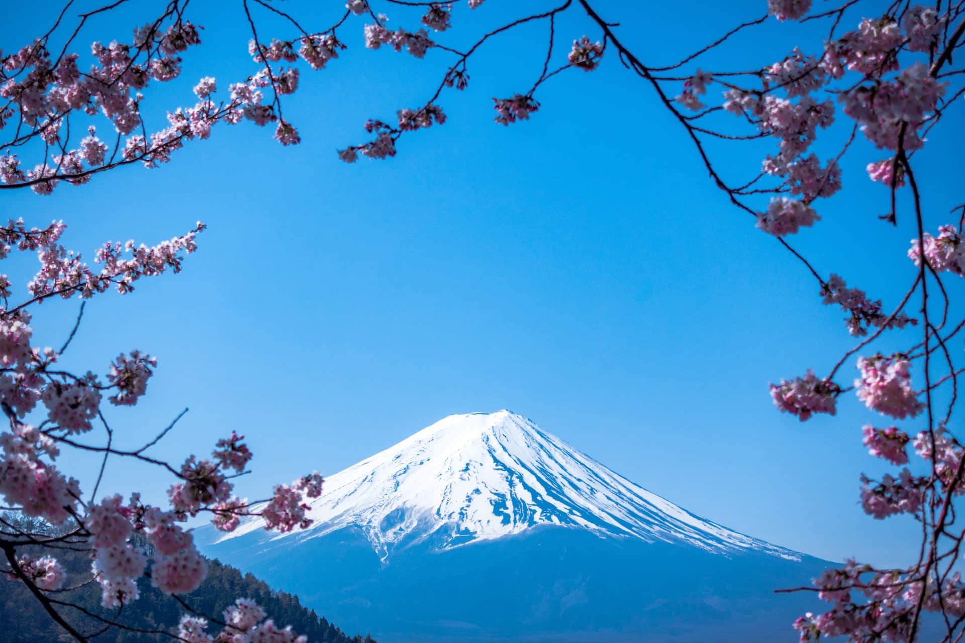 Que faire au Japon en avril ?