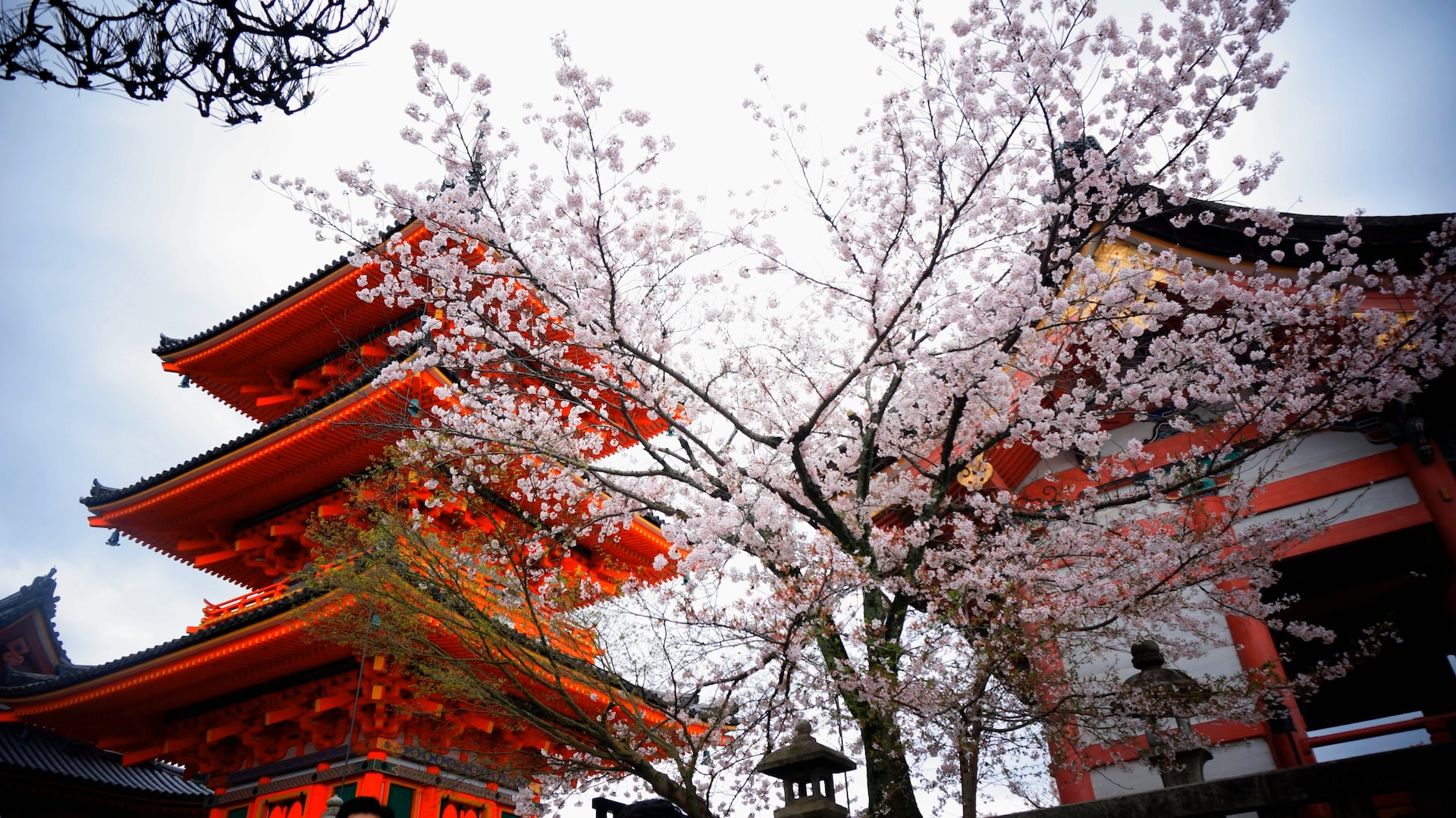 Temple bouddhiste de Sensō-ji : sanctuaire à voir dans le quartier d’Asakusa à Tokyo